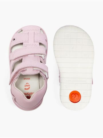 Elefanten Lauflerner Belcy, Weite M rosa günstig kaufen Angebote ???? Sandalen Elefanten Lauflerner Belcy, Weite M Rosa Günstig Kaufen ???? -Elefanten Shop elefanten lauflerner belcy weite m rosa 2