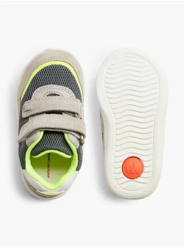 Beste Bewertungen von ✨ Sneakers Elefanten Lauflerner Cosimo, Weite M Grau Günstig Kaufen 😍 3 Beste Bewertungen von ✨ Sneakers Elefanten Lauflerner Cosimo, Weite M Grau Günstig Kaufen 😍 – Bild 3