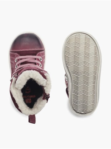 Elefanten Lauflerner Muris, Weite M lila günstig kaufen Bestpreis ???? Stiefel & ???? Boots Elefanten Lauflerner Muris, Weite M Lila Günstig Kaufen ???? -Elefanten Shop elefanten lauflerner muris weite m lila 2