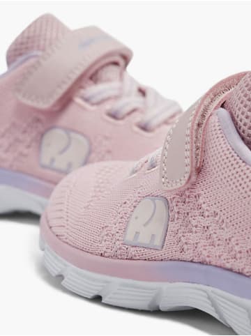 Elefanten Sneaker rosa günstig kaufen Budget ???? Sneakers Elefanten ???? Sneaker Rosa Günstig Kaufen ???? -Elefanten Shop elefanten sneaker rosa 4